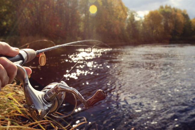 Fall fishing